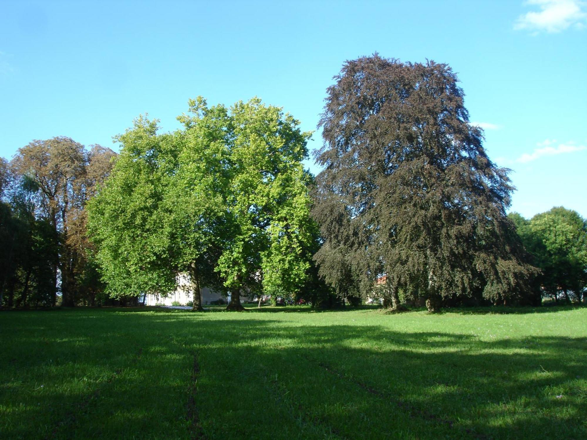 Maison D'Hotes Le Chateau De Puxe Exteriér fotografie